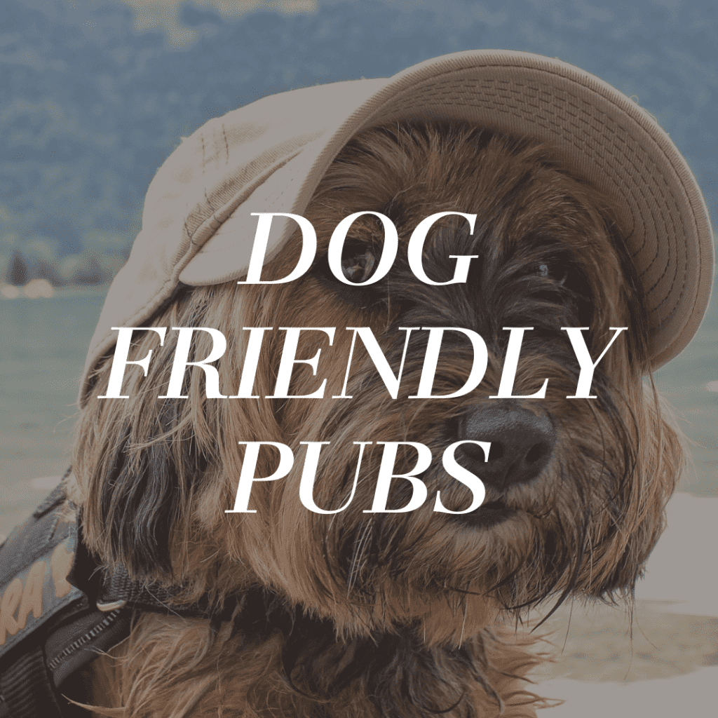 Dog Friendly Pubs