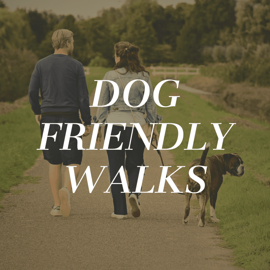 Dog Friendly Walks