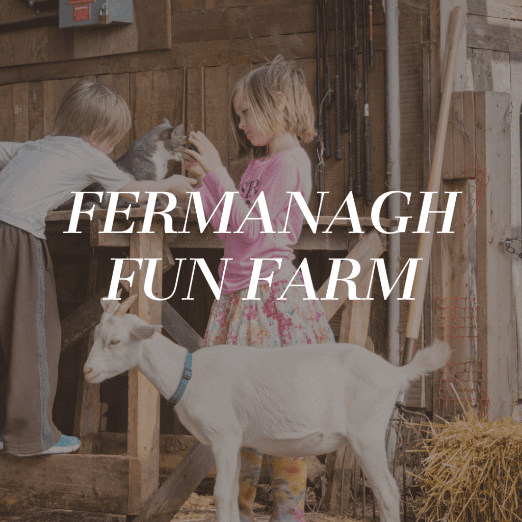 Fermanagh fun farm