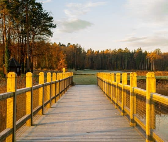 Valentines in Fermanagh 13 Valentines in Fermanagh