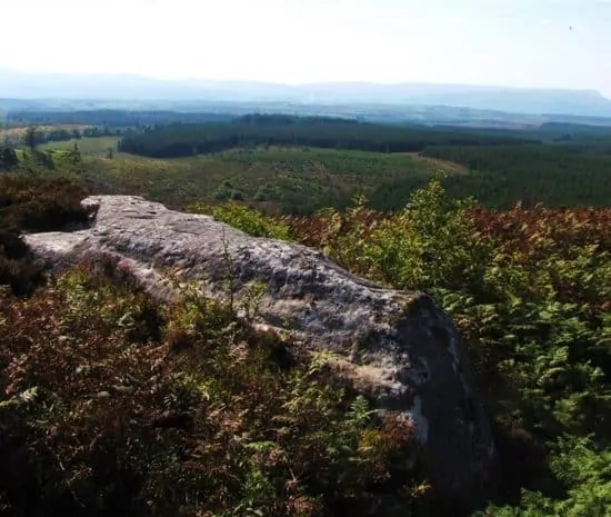 Pet Friendly Rooms in Enniskillen