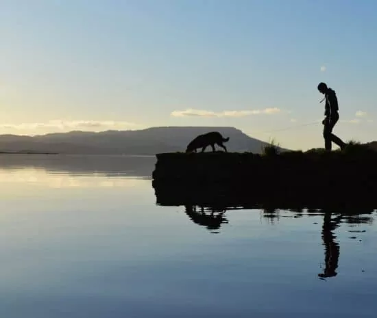 Pet Friendly Rooms in Enniskillen