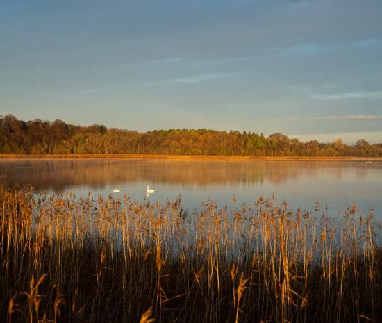 Lodge at Lough Erne Welcome Page 26 Lodge at Lough Erne Welcome Page