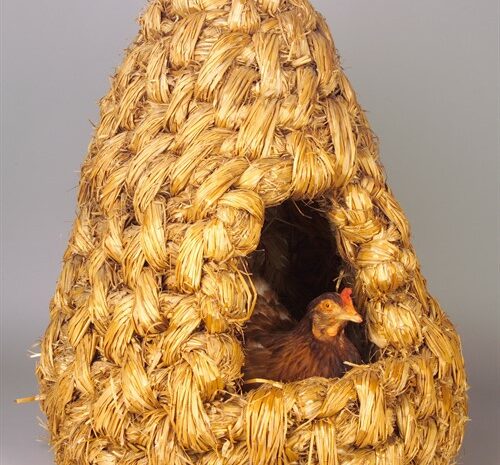 Enniskillen Castle Museums