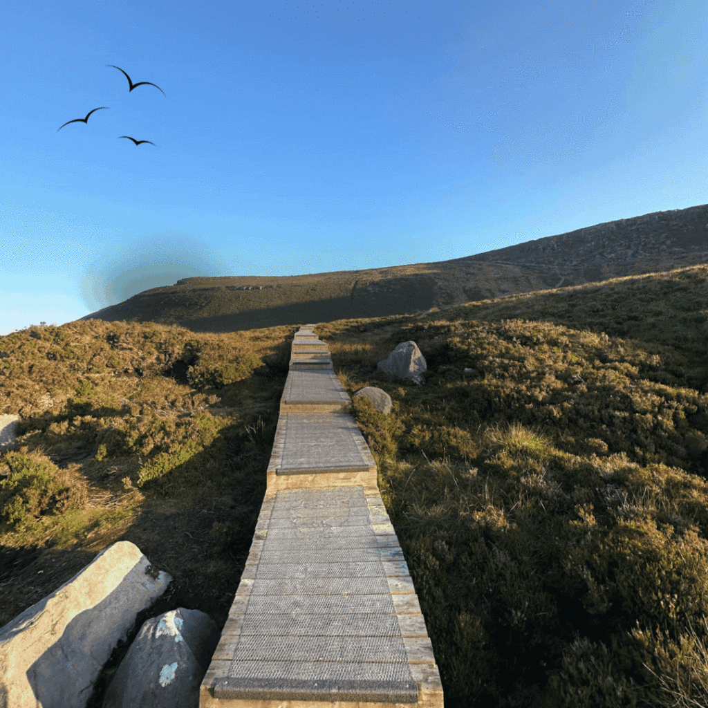 Fermanagh Fun this Summer