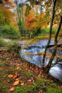 Autumn in the Fermanagh Lakelands 1 Autumn in the Fermanagh Lakelands