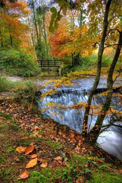 Autumn in the Fermanagh Lakelands