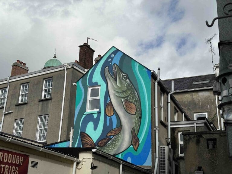 Enniskillen's Murals