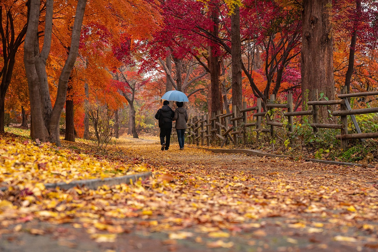 Autumn Breaks in Enniskillen, A 3-Day Romantic Autumn Getaway in Enniskillen