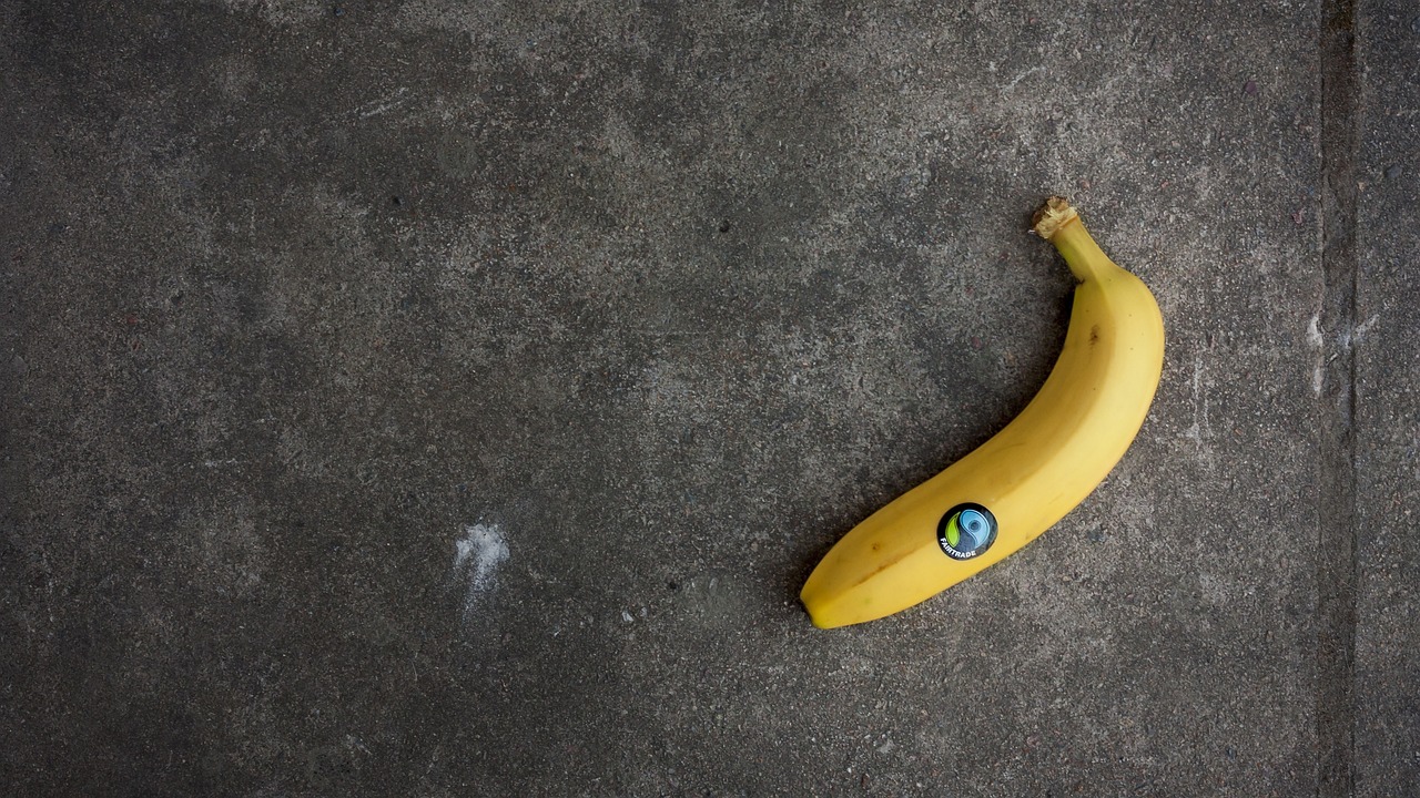 Ethical Purchasing for a Sustainable Future
