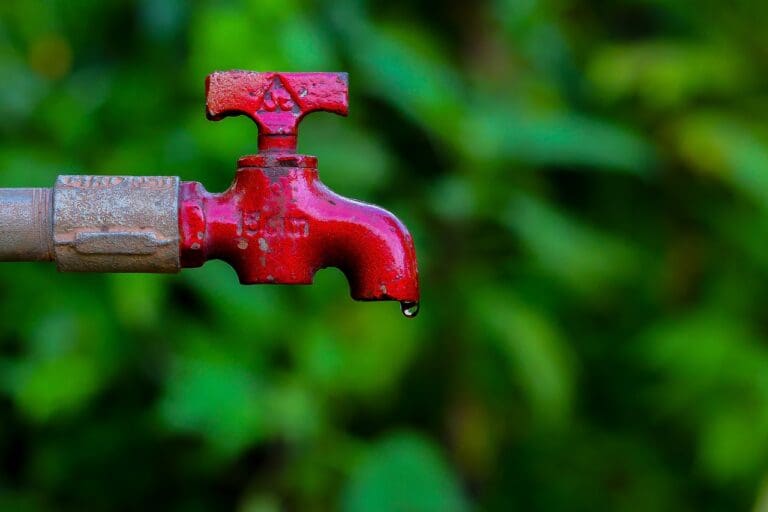 5 Easy Ways to Save Water