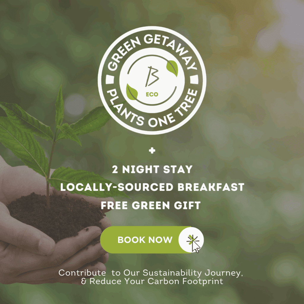 Green Accommodation in Fermanagh