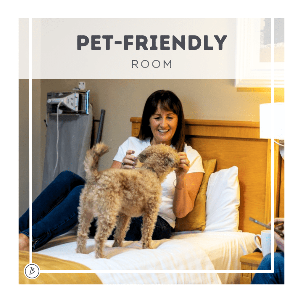 Discover the Best Places to Stay in Fermanagh: Belmore Court & Motel