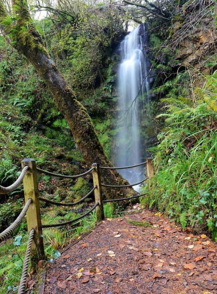 Discover the Best Walking Trails Northern Ireland Has to Offer