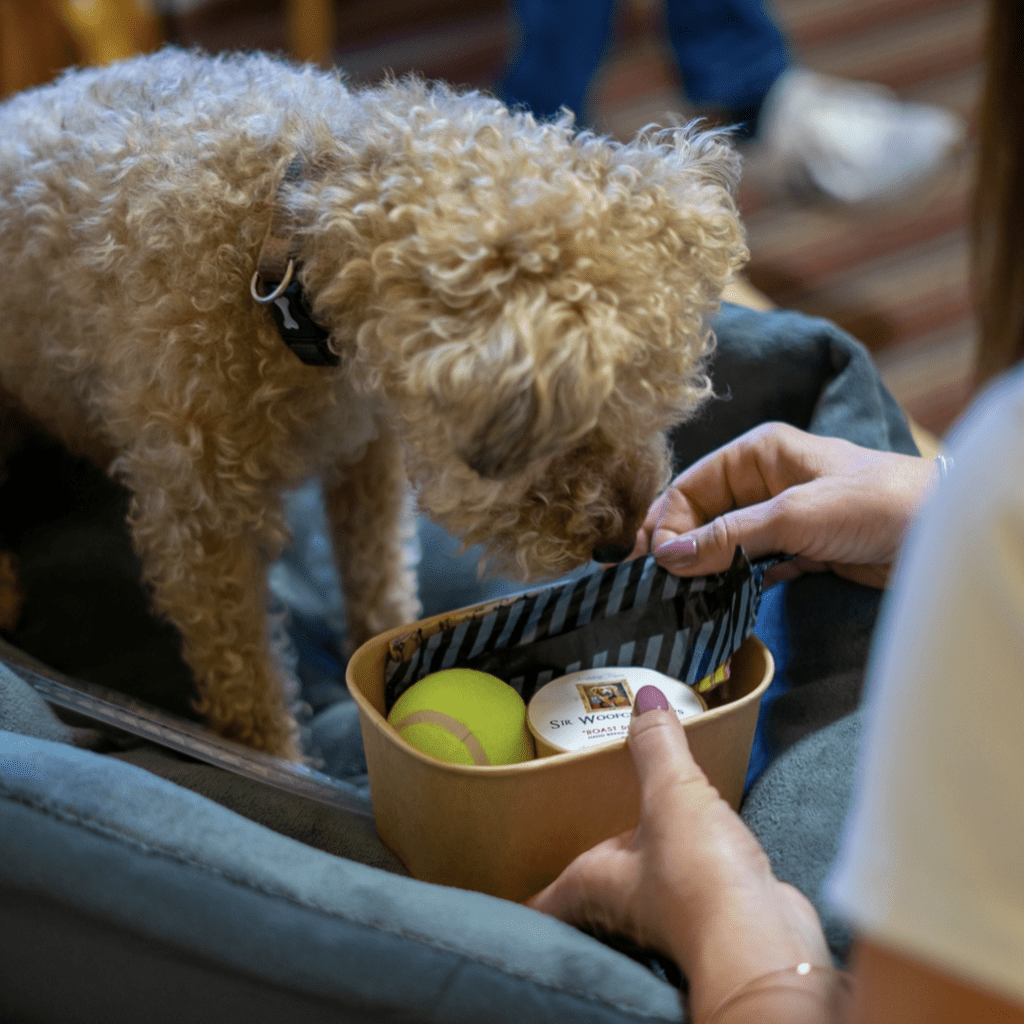 Discover the Best Places to Stay in Fermanagh: Belmore Court & Motel