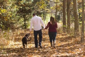 Top 7 Dog Friendly Walks in Fermanagh