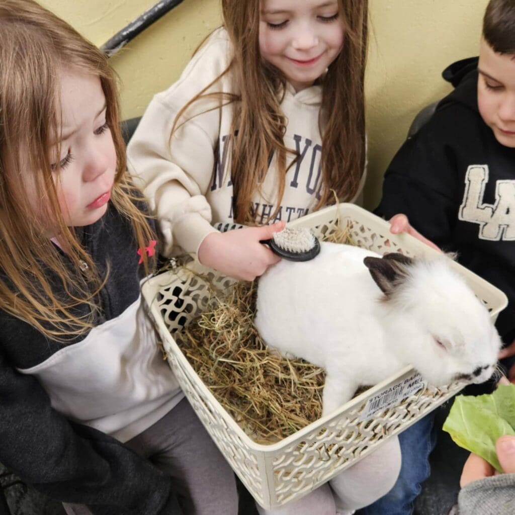 Ultimate Guide To Easter in Enniskillen