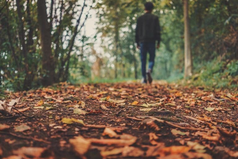 Enniskillen Town Centre 4 Things to Do in Autumn in Enniskillen