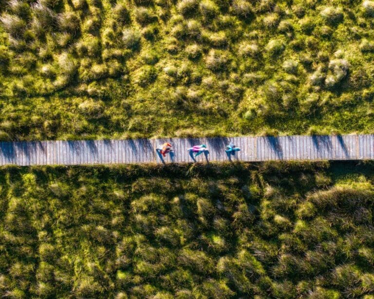 Sustainability