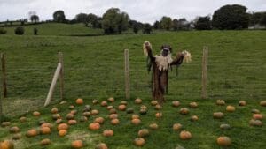 the Little Pumpkins Monster Bash at Fermanagh Fun Farm